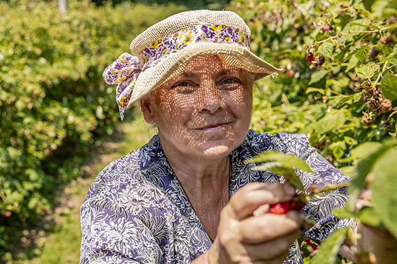 publication image Image from the cover of the Investor Report on Sustainability
