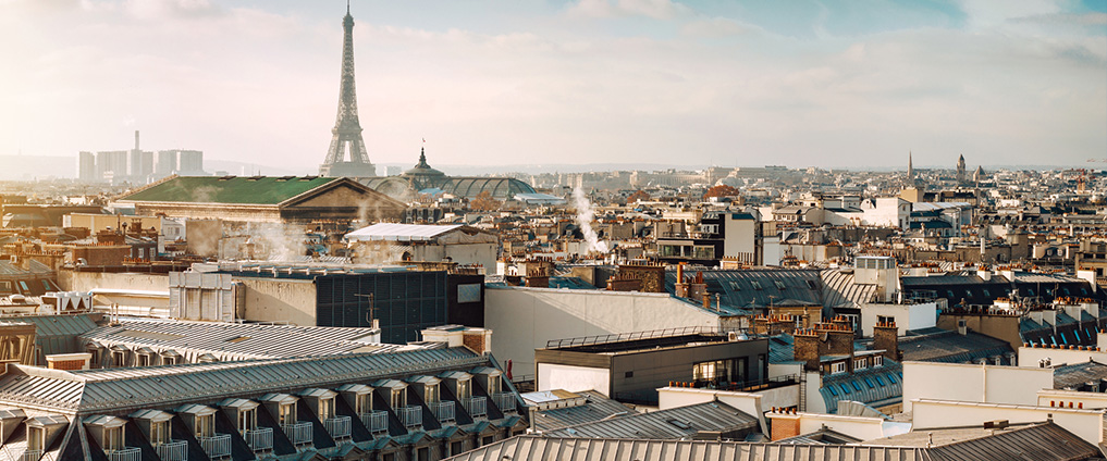 aerial view of Paris