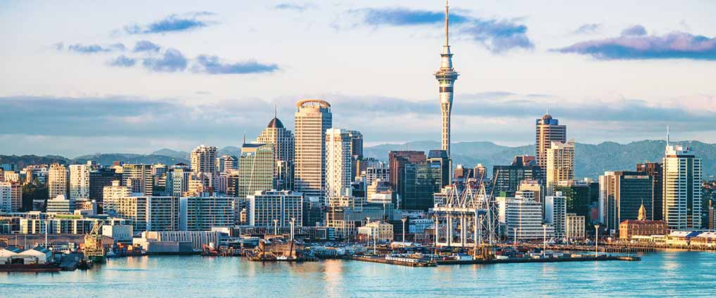 aerial view of Auckland's skyline